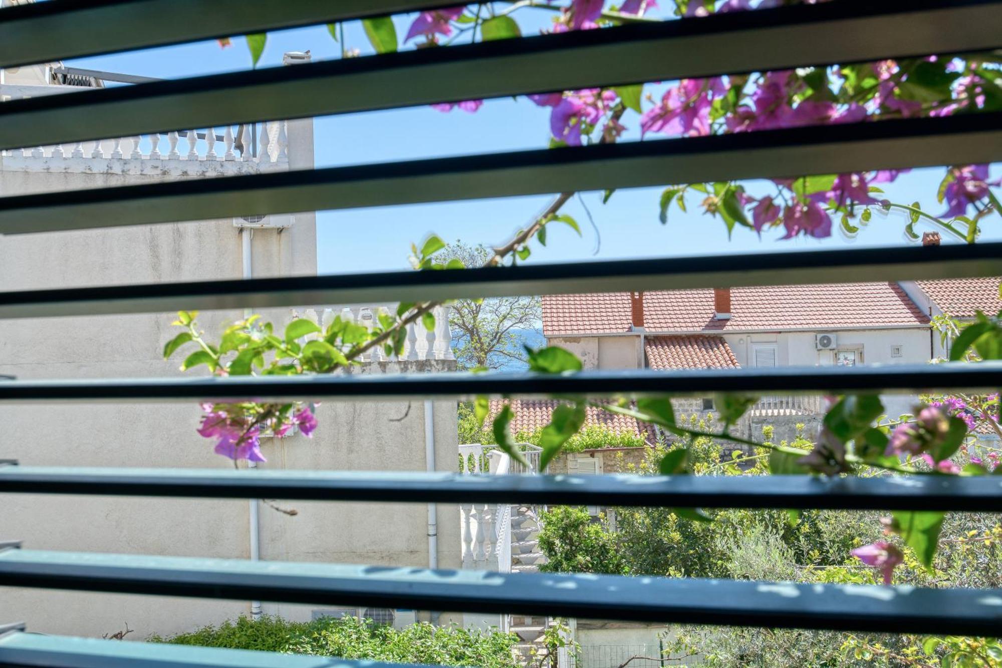 Apartman Zenta Petrovac Екстериор снимка