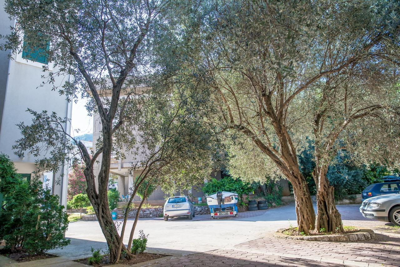 Apartman Zenta Petrovac Екстериор снимка